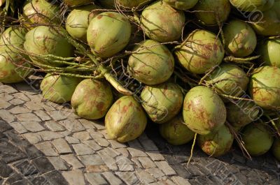 Coconut