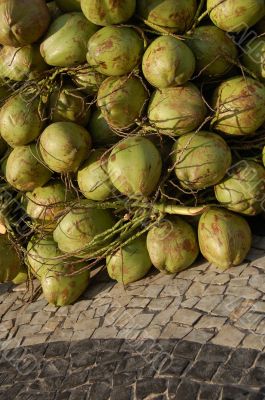 Coconut