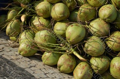 Coconut