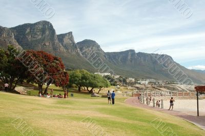 Cape Town
