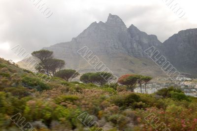 Cape Town
