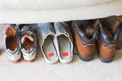 a families shoes lined up in a row