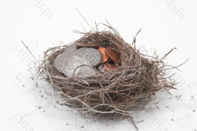 coins in a birds nest - nest egg concept
