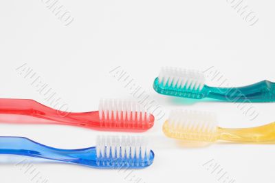 colorful tooth brushes