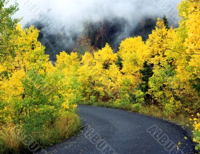 MN0008AspenRoad