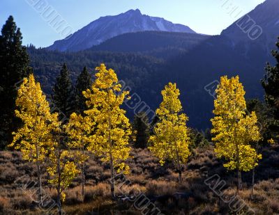 MN0010Aspens&MtDana(H)