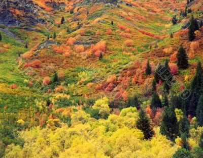 MN0012AutumnTapestry(H)