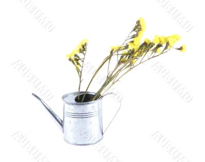 Flower arrangement