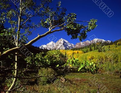 Maroon Bells & Branch