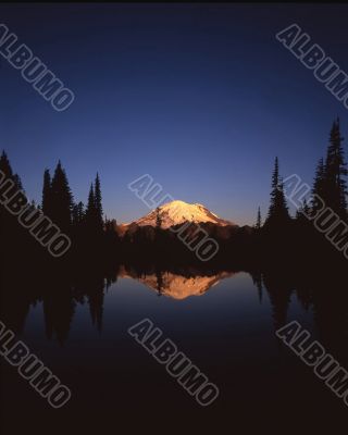 Mt Rainier Vert