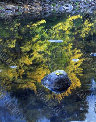 Rock & Leaf Merced River