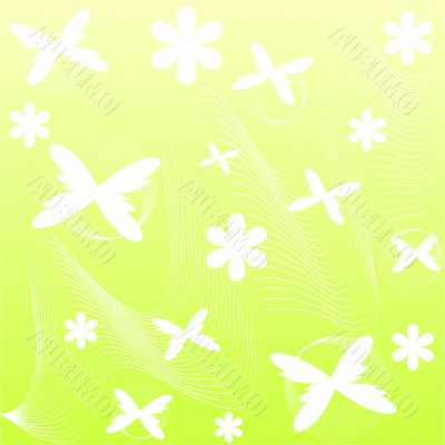 Flowers and butteflies