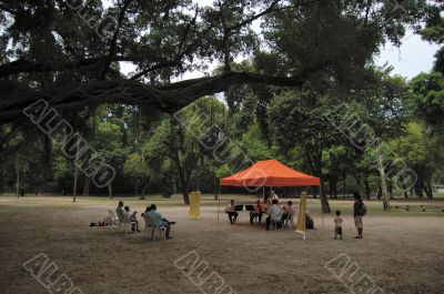 Music at the park