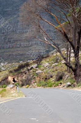 Cape Town