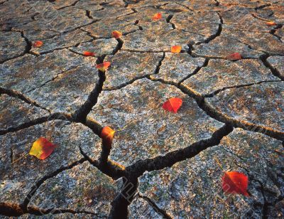 Dry Autumn