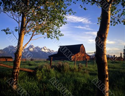 Teton Barn & Aspens