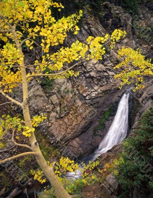 Yellow Forest Waterfall