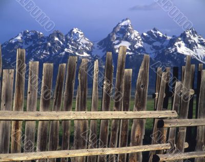 Teton Fence