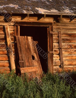Old Door