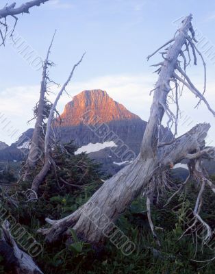 Mt. Reynolds