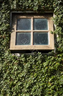 Small window