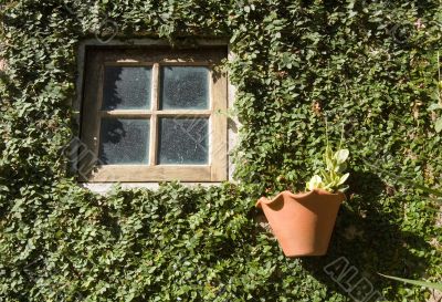 Small window