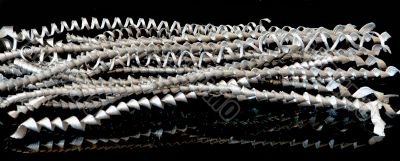 steel  shavings