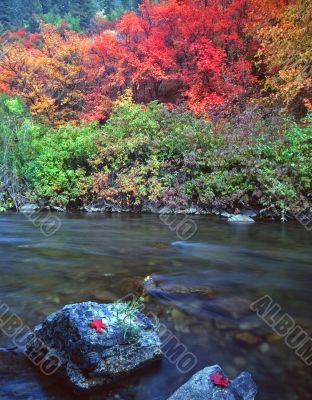 Logan River Rocks