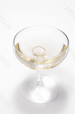 Engagement Ring in Champaign