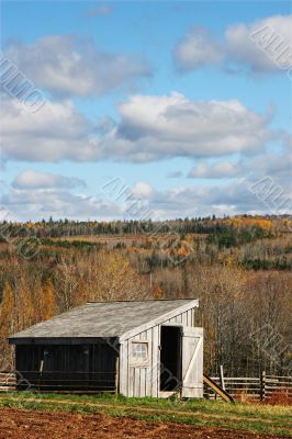 Life on the farm