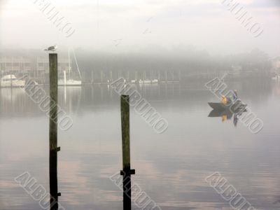 Foggy fisherman