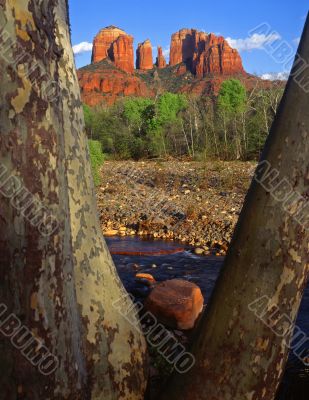 Cathedral Rock