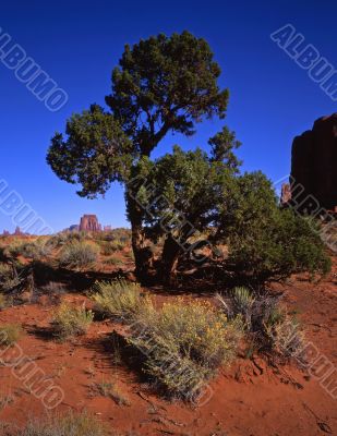 Monument Valley