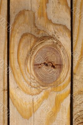 Wood texture of pine fence