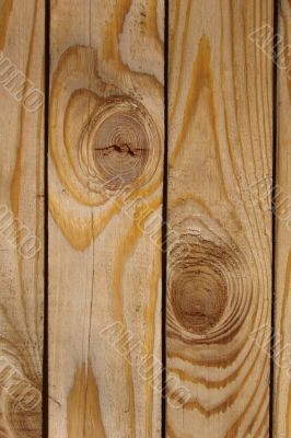 Wood texture of pine fence
