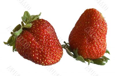 strawberries on white