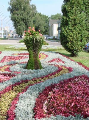 Flower bed blossoming