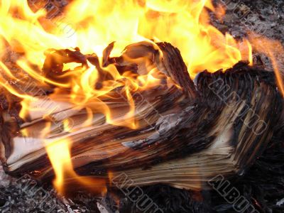 Flaming wooden logs