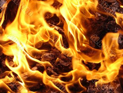 Flaming wooden logs