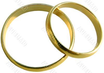 isolated wedding gold rings