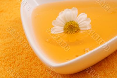 camomile shower gel