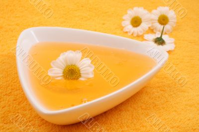 camomile shower gel