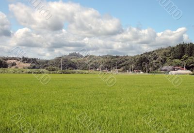 Rural Japanese landscape