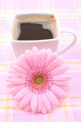 cup of coffee