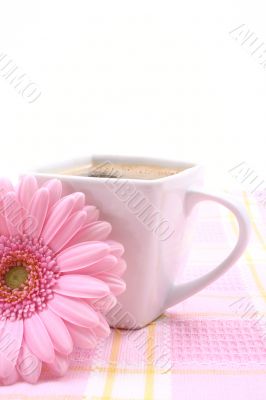 cup of coffee