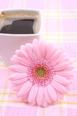 cup of coffee