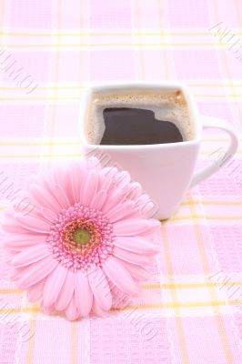 cup of coffee
