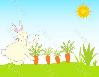 Rabbit and carrots