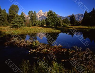 Schwabacher Landing #10