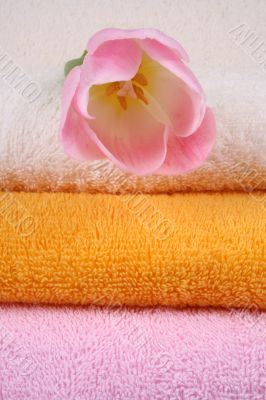 towels